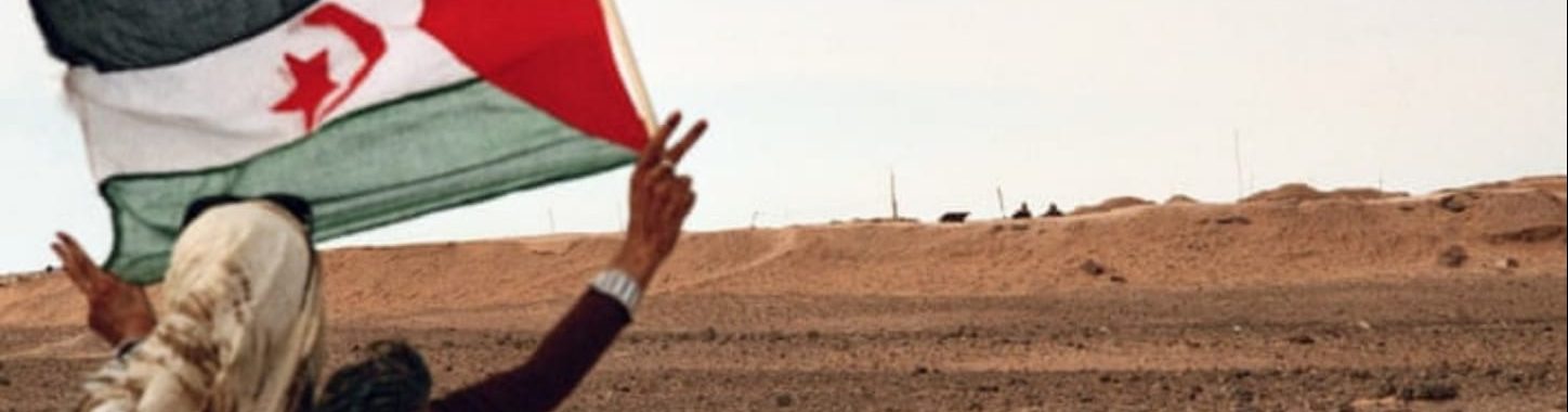 El poble sahrauí, el llarg camí cap a la independència